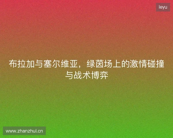 布拉加与塞尔维亚，绿茵场上的激情碰撞与战术博弈